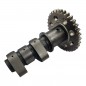 ARBOL DE LEVA HONDA 250 TORNADO -  TWISTER ESCAPE